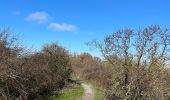 Excursión Senderismo Cayeux-sur-Mer - Le Hourdel - Photo 20