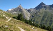 Randonnée Marche Pralognan-la-Vanoise -  Peclet retour Orgėre - Photo 11