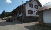 Tour Wandern Sulz/Oberelsass - Col Amic Molkenrein - Photo 3