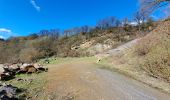 Tour Wandern Comblain-au-Pont - mur géologique -03_04_2023 - Photo 14