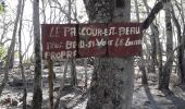 Tocht Stappen Le Diamant - O'Mullane Taupinière linéaire  - Photo 7