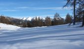 Tour Schneeschuhwandern Roubion - PIN POURRI - Photo 10