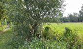 Percorso Marcia Ronse - Ronse-Audenarde 20,5 km  - Photo 11