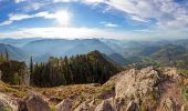 Tour Zu Fuß Reichraming - Wanderweg 25 - Photo 10