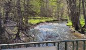 Randonnée Marche Saint-Hubert - A la découverte de Mirwart et ses environs  - Photo 12