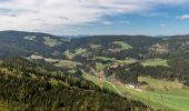 Randonnée A pied Frauenstein - Pulst-Sörg-Lorenziberg-Runde - Photo 8