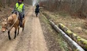 Tocht Paardrijden Métairies-Saint-Quirin - Elodie kalio joyeux Tivio  - Photo 1