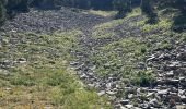 Tour Wandern Saint-Agnan-en-Vercors - Grand Veymont face ouest  - Photo 5