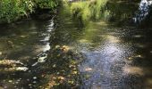 Tour Wandern Ruffigné - 15.07.2019 - RUFFIGNE à ST AUBIN DES CHÂTEAUX sud - Photo 1