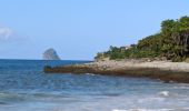 Randonnée Marche Sainte-Luce - plages du littoral de ste Luce  - Photo 8