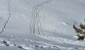 Percorso Racchette da neve Gréolières - GREOLIERES - Photo 1