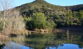 Trail Walking Fréjus - Le tour du Bonnet de Capelan depuis Colle Douce - Photo 2