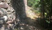 Trail Walking Val-d'Aigoual - chemin des 2 sources - Photo 3
