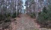 Trail Walking Ferrières - entre Jehonhé et La Fagne  - Photo 16