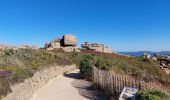 Tocht Stappen Perros-Guirec - LE SENTIER DES DOUANIERS  - Photo 9