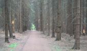 Trail On foot Melle - Aussichts- und Waldwanderweg L2 - Photo 3