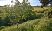 Tocht Te voet North Devon - Butterfly Walk - Photo 7