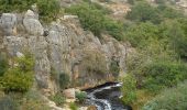 Excursión A pie Beit Shemesh - IL-9333 - Photo 5