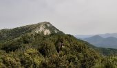 Trail Walking Venterol - La Lance - Photo 4