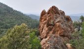 Trail Walking Saint-Raphaël - Pic roux grotte de sainte Baume - Photo 8