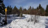 Trail Walking Châtelus - Le Pas des Voûtes - Le Pas de l'Allier - Photo 5