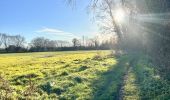 Tour Wandern Hannut - La Balade des Chevées - Photo 4