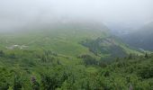 Tocht Stappen Le Grand-Bornand - gramusset - Photo 1