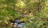 Tour Wandern Vielprat - De Le Bessel à Issanlas - Photo 6