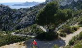 Trail Mountain bike Marseille - OR-6270829--Marseille:Trilogie des Calanques - Photo 4