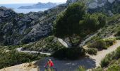 Randonnée V.T.T. Marseille - Trilogie des Calanques version courte - Photo 4