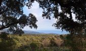 Trail Road bike Le Lavandou - bormes col canadel bormes - Photo 6