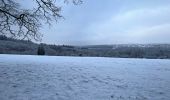 Percorso Marcia Esneux - Bois d’Esneux sous la neige - Photo 3