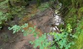 Randonnée Marche Champagney - Canal souterrain de la Haute-Saône - Photo 9