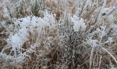 Randonnée Marche Theux - dans le givre de Crambon  - Photo 8