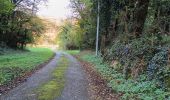 Trail Road bike Beaulieu - Beaulieu - Cognin par la pisciculture  - Photo 14