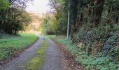 Tocht Wegfiets Beaulieu - Beaulieu - Cognin par la pisciculture  - Photo 14