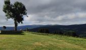 Trail Walking Chalmazel-Jeansagnière - Au dessus de Chalmazel  - Photo 9