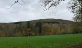 Trail Walking Durbuy - Bois et champs.  - Photo 6