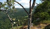 Percorso Marcia Les Planches-en-Montagne - Les Planches En Montagne 30 juil 2019 CAF - Photo 20