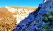 Excursión Senderismo Saint-Geniez - Crête d’Aigues Champ (Riou de Jabron) - Photo 11