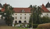 Tour Zu Fuß Wolfern - Wanderweg Hagleiten - Photo 9