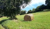 Randonnée Marche Bilieu - croix des cochettes-Charavines - Photo 2