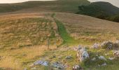 Tour Wandern Bouvante - La tête de la Dame - Photo 18