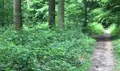 Trail Walking Silly - Silly « Vers St-Marcoult » - Photo 18