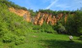 Tour Wandern Sankt Pilt - St-Hippolyte - Rorschwihr - Grasberg - Bergheim - Reichenberg - Rodern - Photo 19