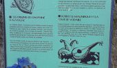 Tour Wandern Solignat - PUY D'YSSON - Photo 13
