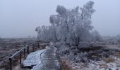 Trail Walking Spa - petit tour de la fagne - berinzenne - Photo 11