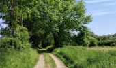 Excursión Senderismo Hannut - La balade des chevées (5km)  - Photo 18