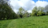 Trail Walking Chaumont-Gistoux - #210507 Dion-le-Mont, Pisselet et Louvranges - Photo 16