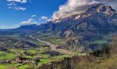 Tour Wandern Aspres-lès-Corps - Le Grand Journal (Jonquilles) via Aspres Les Corps - Photo 1